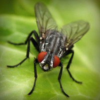 /album/daphnes-blog/photolia-a01-jpg/