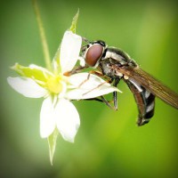 /album/daphnes-blog/photolia-a02-jpg/