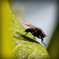 /album/daphnes-blog/photolia-a04-jpg/