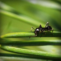 /album/daphnes-blog/photolia-a05-jpg/