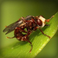 /album/daphnes-blog/photolia-a06-jpg/