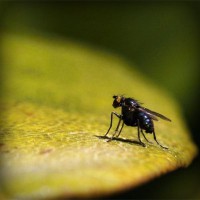 /album/daphnes-blog/photolia-a07-jpg/